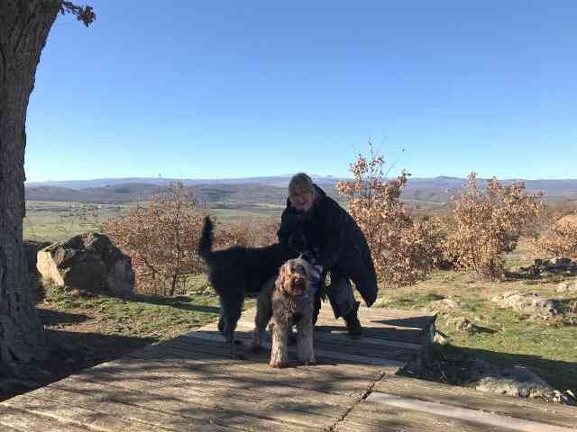 Sue, Rio & Hari, enjoying a walk on the Massif Central in France, on their return journey to Trowbridge in Wilts, from Vinaros in Castellón, Spain.